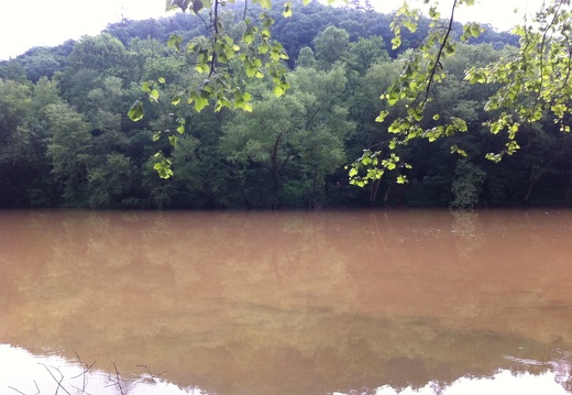 Station Camp Creek Crossing,  Big South Fork - 14